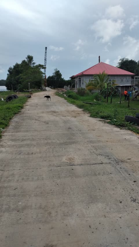 A concrete access road beside the river in Berbice, with buildings alongside.